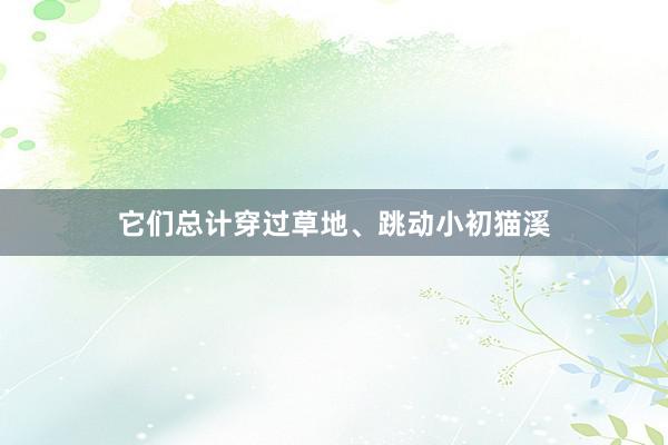 它们总计穿过草地、跳动小初猫溪