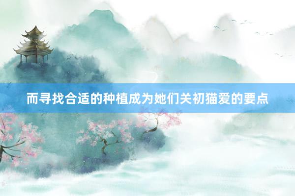 而寻找合适的种植成为她们关初猫爱的要点