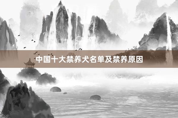 中国十大禁养犬名单及禁养原因